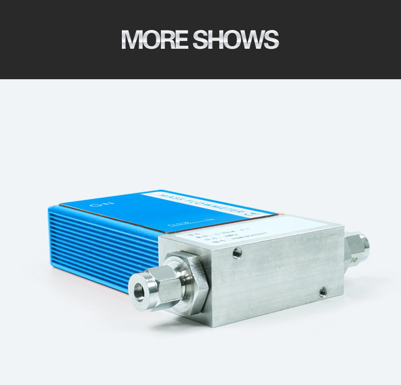 Micro gas mass flowmeter(图11)